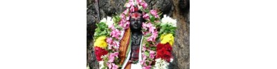 செங்காளிபாளையம்